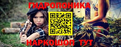 mdpv Краснознаменск