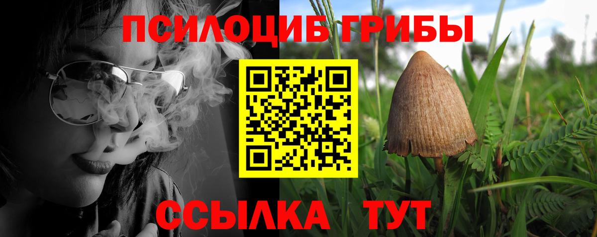 Галлюциногенные грибы Magic Shrooms  Вход с VPN  как найти закладки  Елец  Галлюциногенные грибы ЛСД 